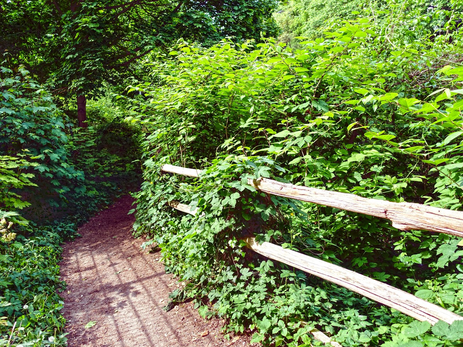 Appalachian Trail